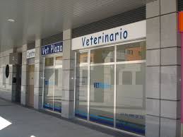 Locales Comerciales