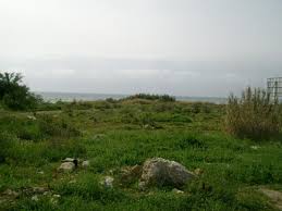 Terrenos